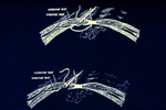 Linear Alba Closure